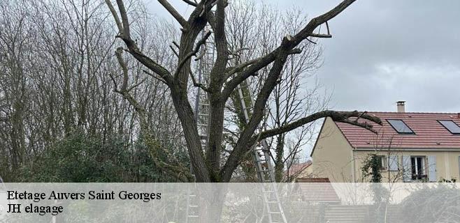 Etetage  auvers-saint-georges-91580 JH elagage