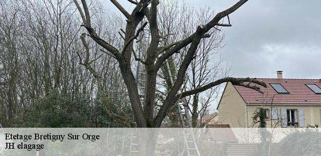 Etetage  bretigny-sur-orge-91220 JH elagage