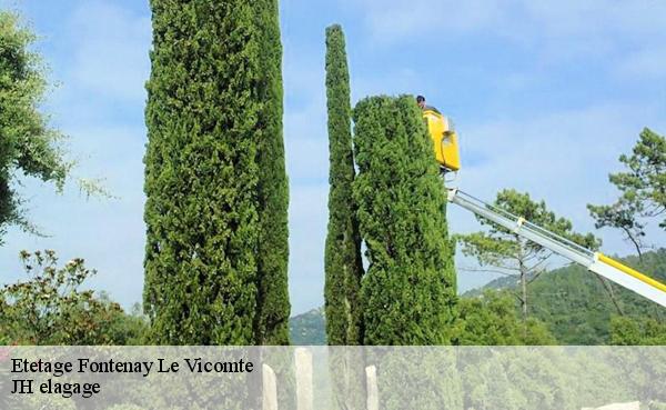 Etetage  fontenay-le-vicomte-91540 JH elagage