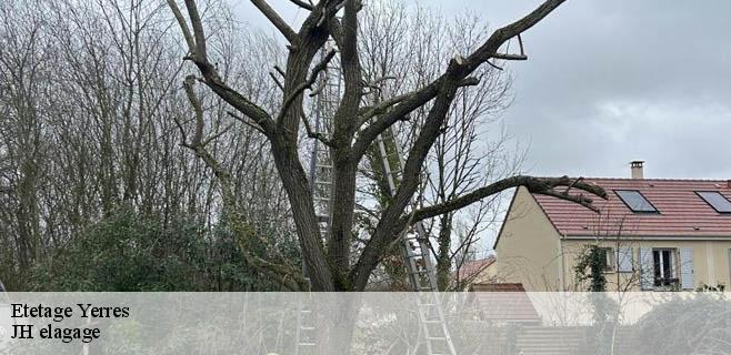 Etetage  yerres-91330 JH elagage